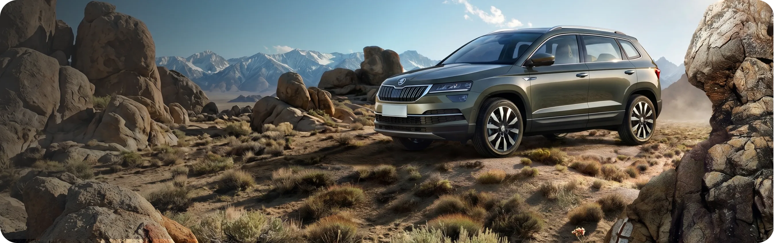 баннер Skoda